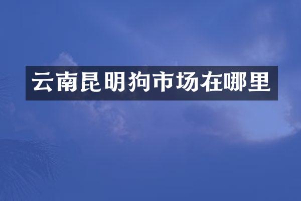 云南昆明狗市场在哪里