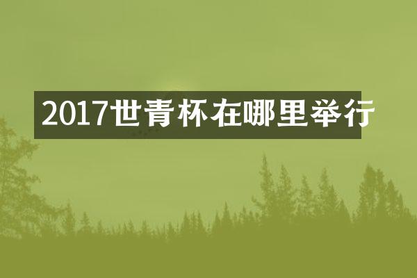 2017世青杯在哪里举行