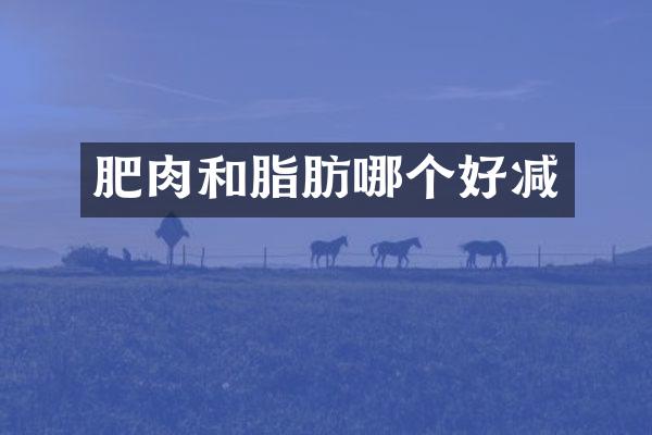 肥肉和脂肪哪个好减