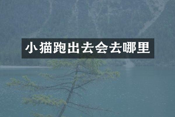 小猫跑出去会去哪里