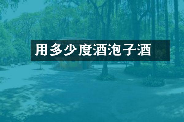 用多少度酒泡棯子酒
