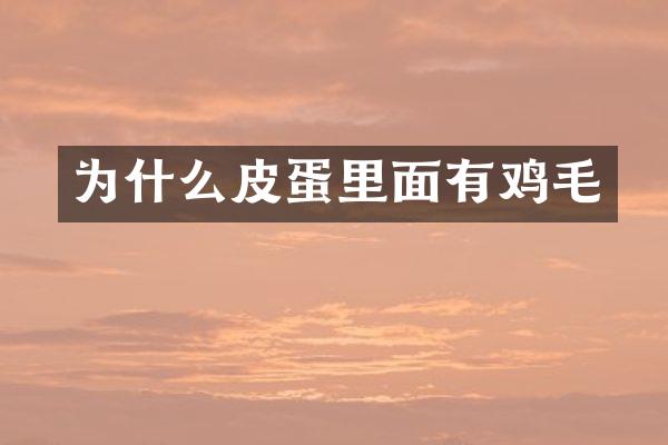 为什么皮蛋里面有鸡毛