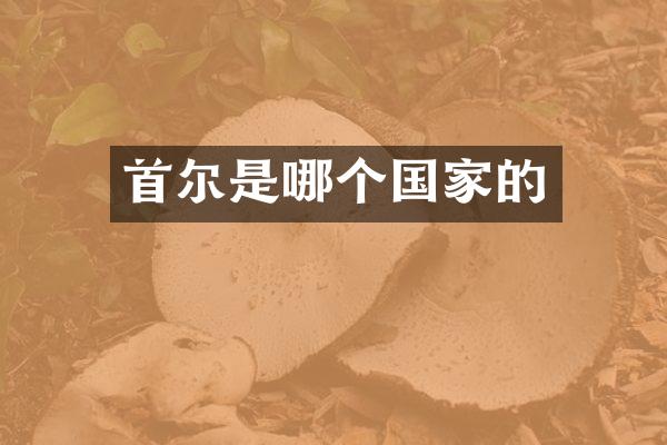 首尔是哪个国家的