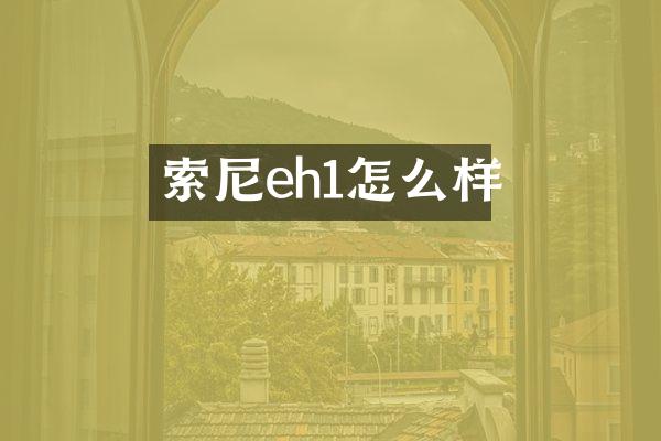 eh1怎么样