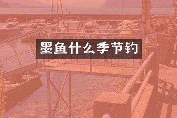 墨鱼什么季节钓