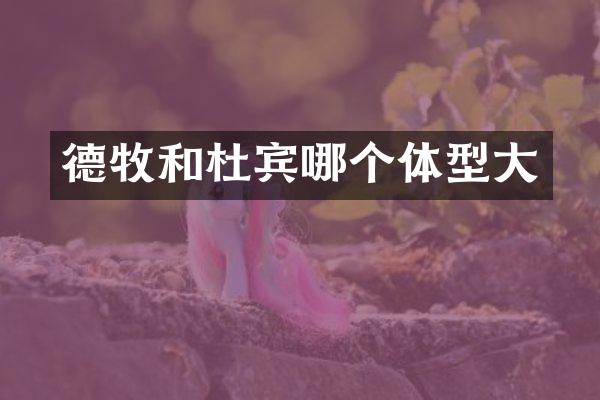 德牧和杜宾哪个体型大