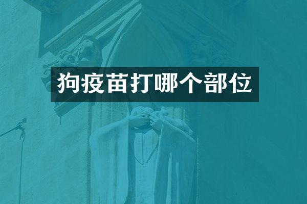 狗疫苗打哪个部位