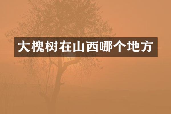 大槐树在山西哪个地方