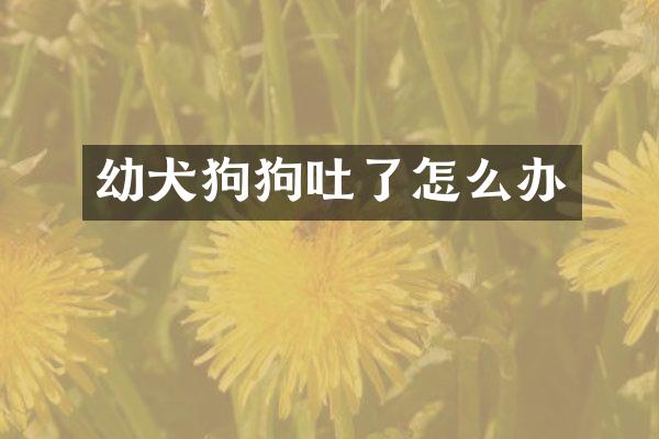 幼犬狗狗吐了怎么办