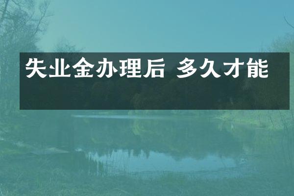 失业金办理后 多久才能拿