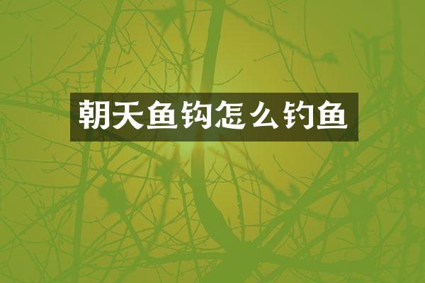 朝天鱼钩怎么钓鱼