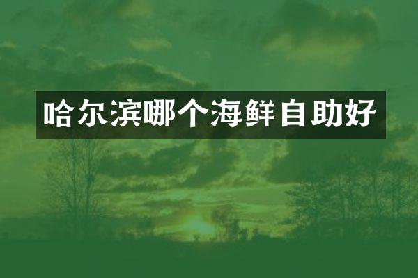 哈尔滨哪个海鲜自助好