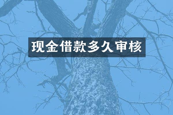 现金借款多久审核