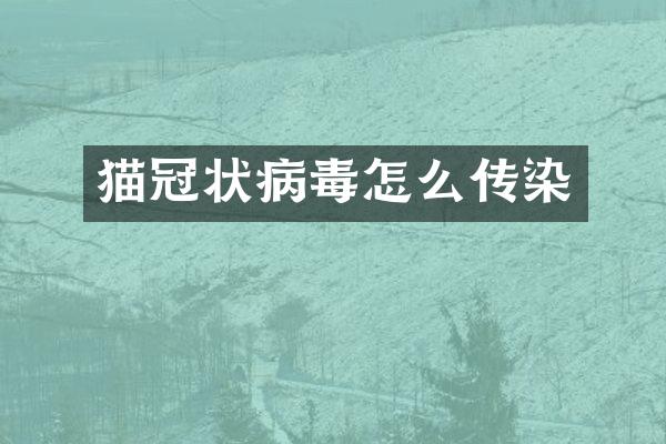 猫冠状病毒怎么传染