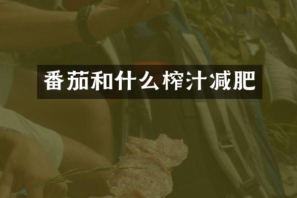 番茄和什么榨汁减肥