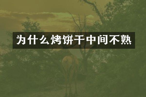 为什么烤饼干中间不熟