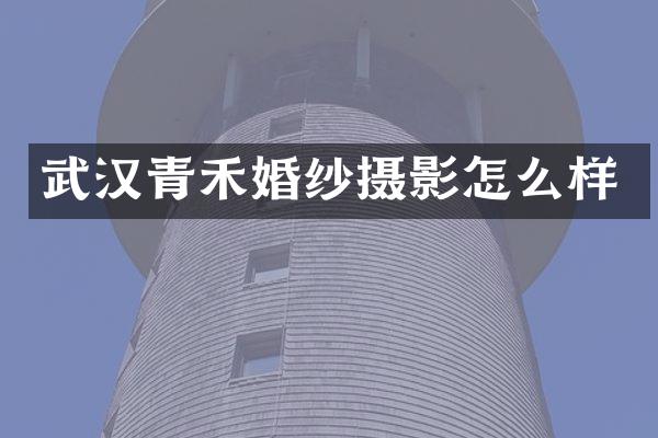 武汉青禾婚纱摄影怎么样