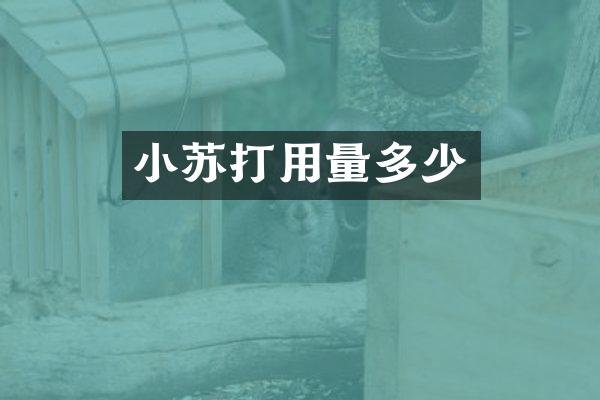 小苏打用量多少