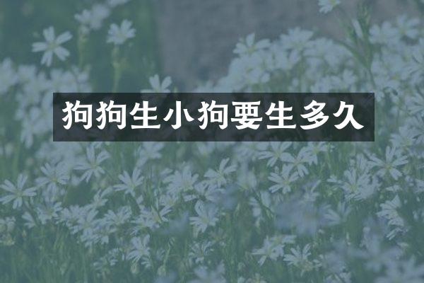 狗狗生小狗要生多久