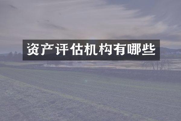 资产评估机构有哪些