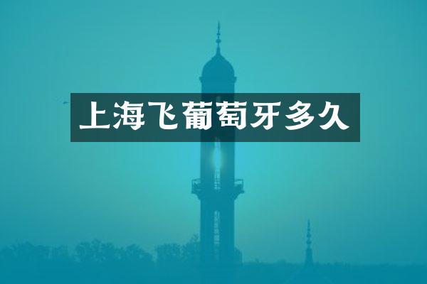 上海飞葡萄牙多久