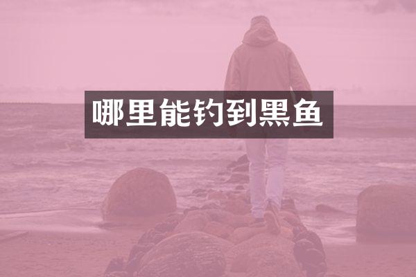 哪里能钓到黑鱼