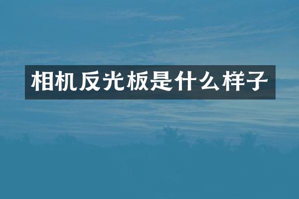 相机反光板是什么样子