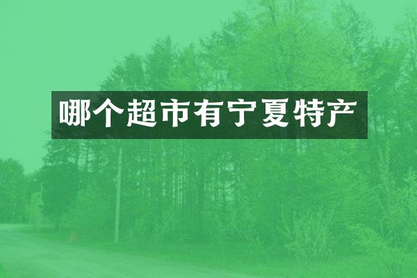哪个超市有宁夏特产