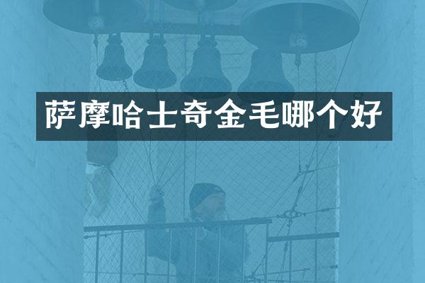 萨摩哈士奇金毛哪个好