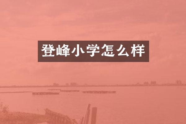 登峰小学怎么样