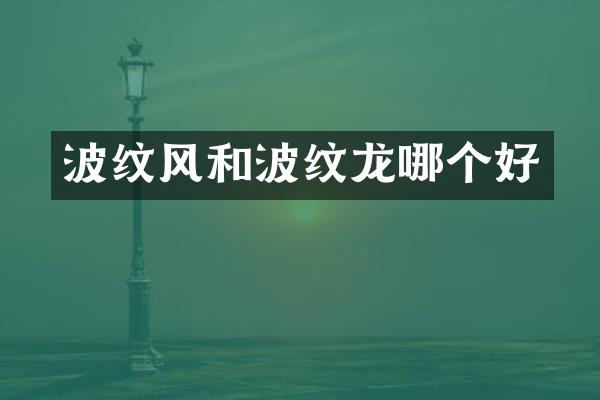 波纹风和波纹龙哪个好