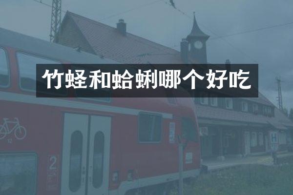 竹蛏和蛤蜊哪个好吃