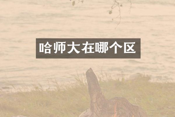 哈师大在哪个区