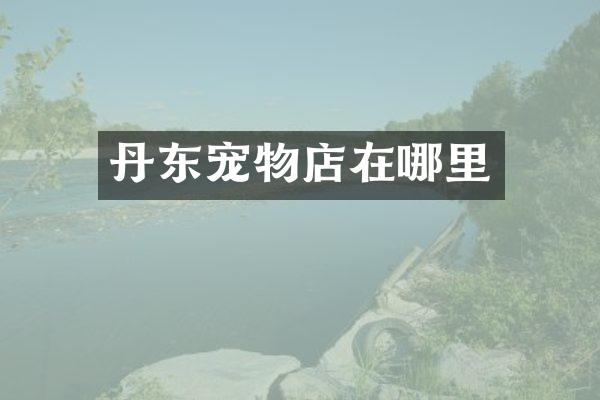 丹东宠物店在哪里