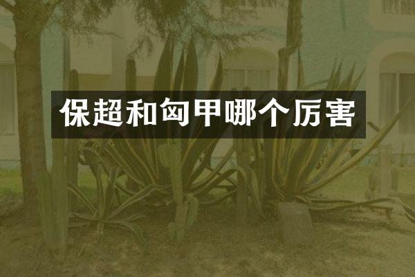 保超和匈甲哪个厉害