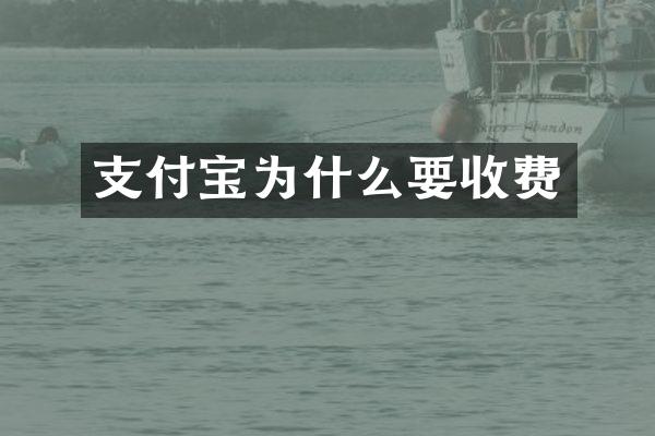 支付宝为什么要收费