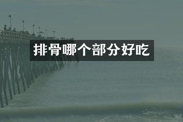 排骨哪个部分好吃