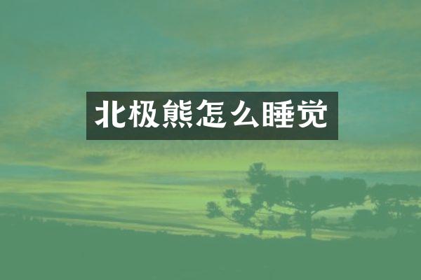 北极熊怎么睡觉