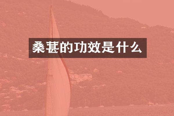 桑葚的功效是什么