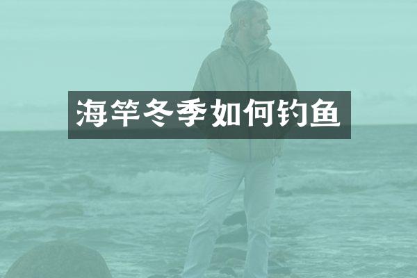海竿冬季如何钓鱼