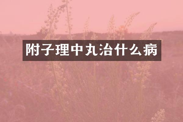 附子理中丸治什么病