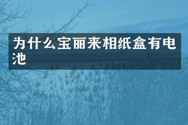 为什么宝丽来相纸盒有电池