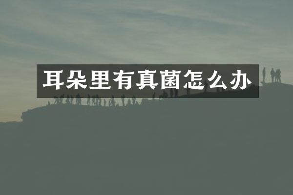 耳朵里有真菌怎么办