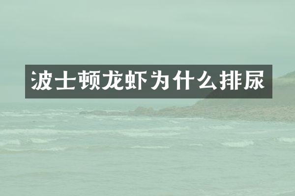 波士顿龙虾为什么排尿