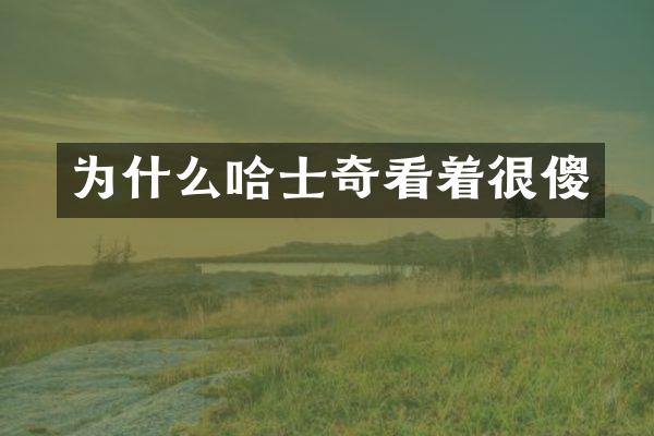 为什么哈士奇看着很傻