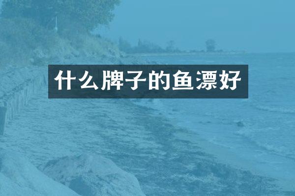 什么牌子的鱼漂好