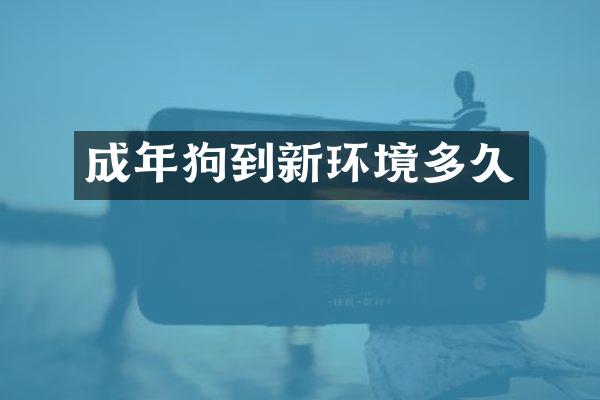 成年狗到新环境多久