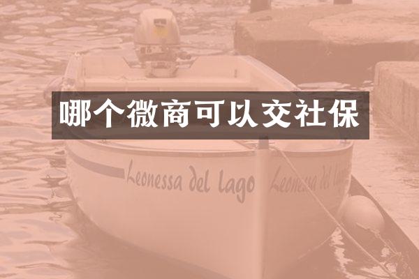 哪个微商可以交社保