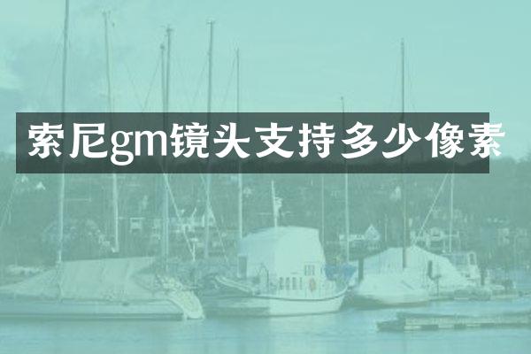索尼gm镜头支持多少像素