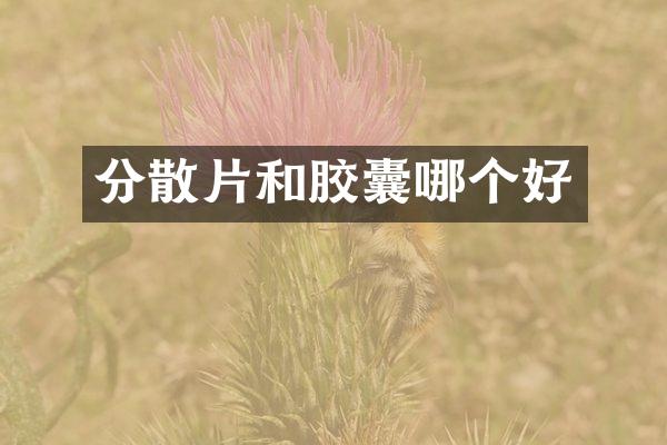 分散片和胶囊哪个好